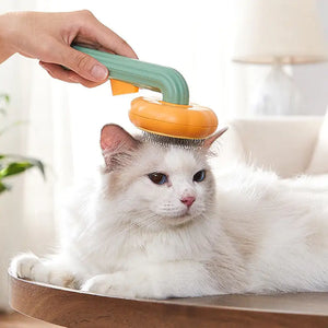 Pumpkin Grooming Brush